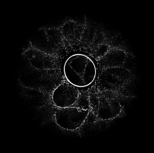 Physarum growth pattern